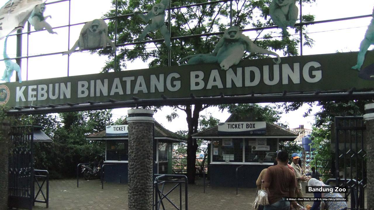 Zen Rooms Bukit Tunggul バンドゥン エクステリア 写真